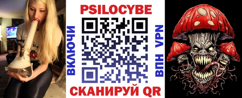 Псилоцибиновые грибы Psilocybe  Купить где  Лосино-Петровский 